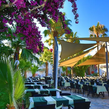 Курортный комплекс Rexene 4*