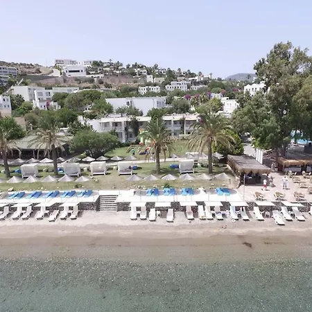 Rexene Bodrum