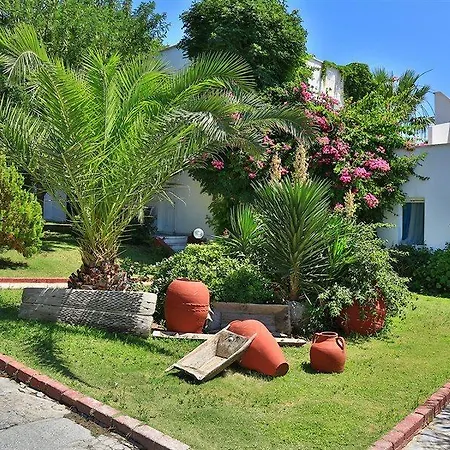 Rexene Resort