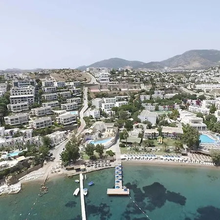 Resort Rexene