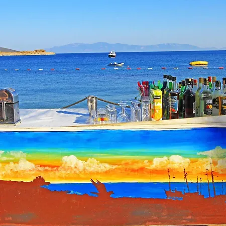 Rexene Bodrum