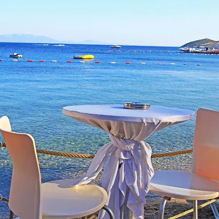 Resort Rexene